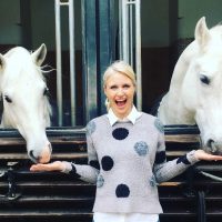 Lipizzaner stallions in Vienna